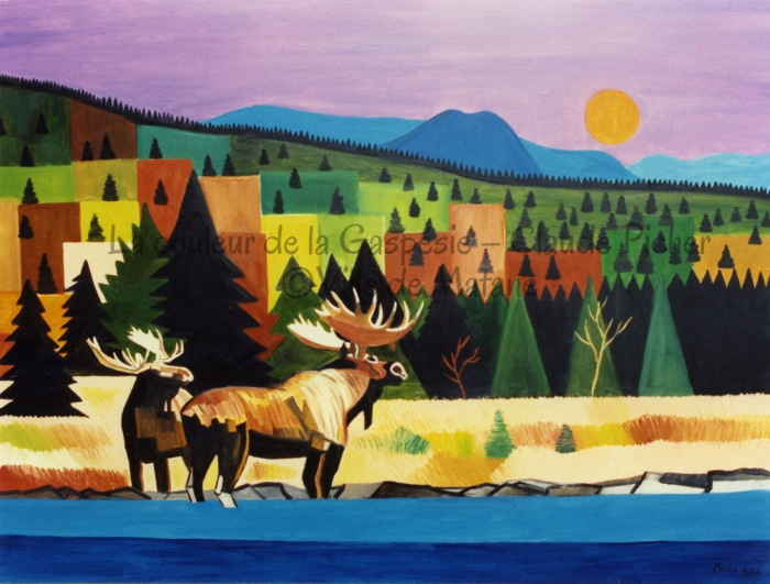 Les orignaux du Parc de la Gaspésie Carte postale #07, Les orignaux du Parc de la Gaspésie - 1990